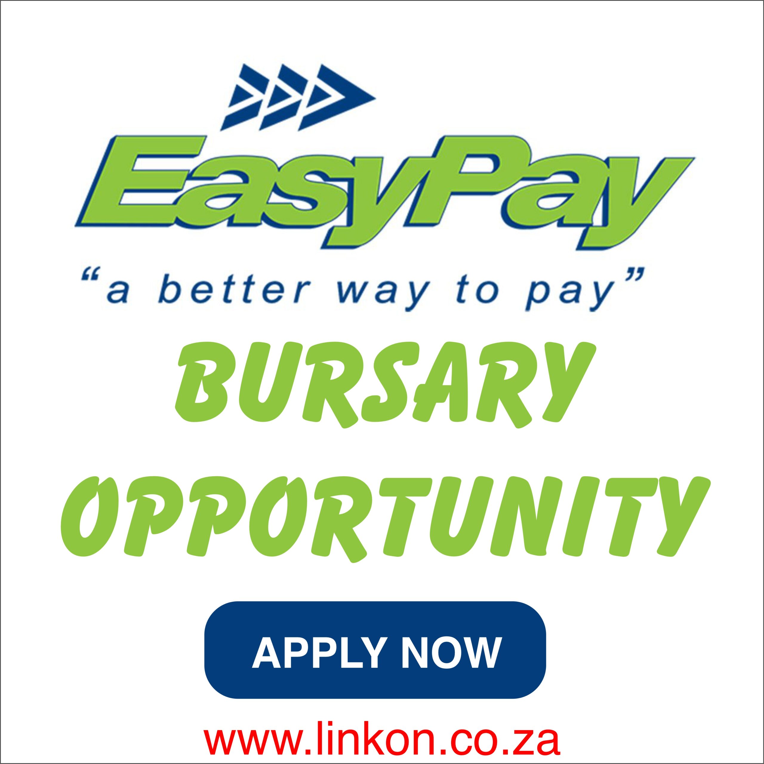Easypay everywhere tech skills bursary 2025 Easypay