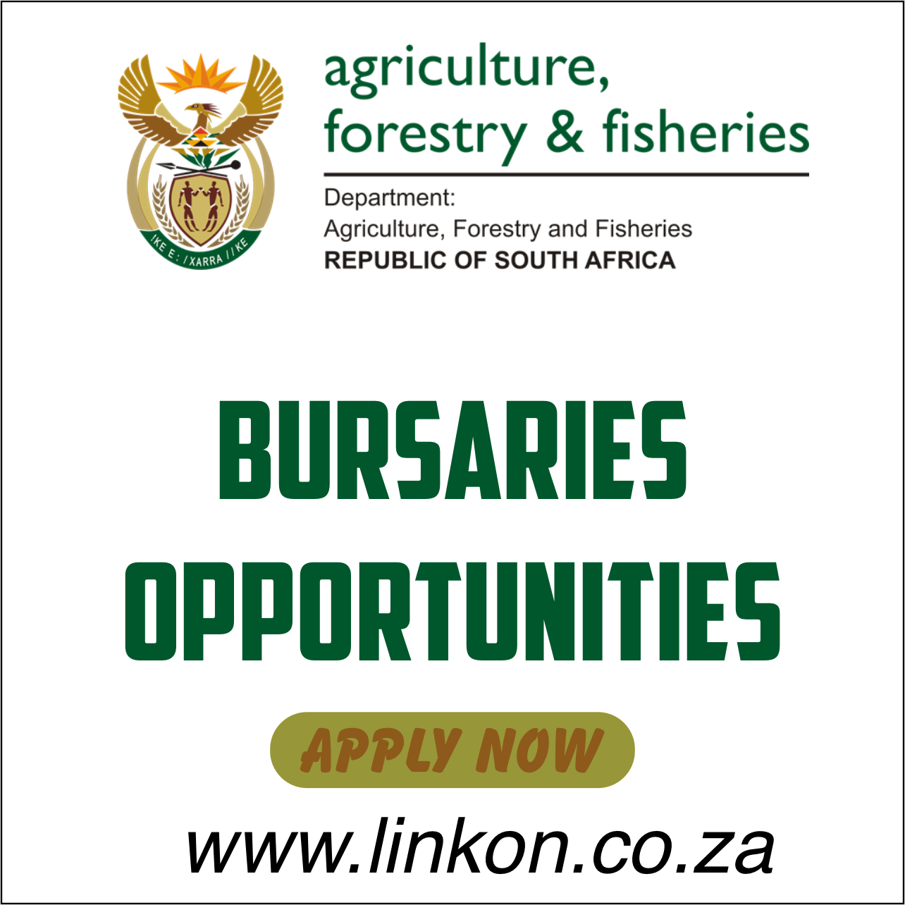Department of forestry, fisheries and the environment (dffe) bursary opportunities Department of Forestry, Fisheries and the Environment