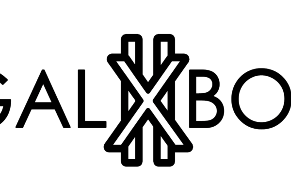 Galxboy | sales assistant opportunity x1 GALXBOY